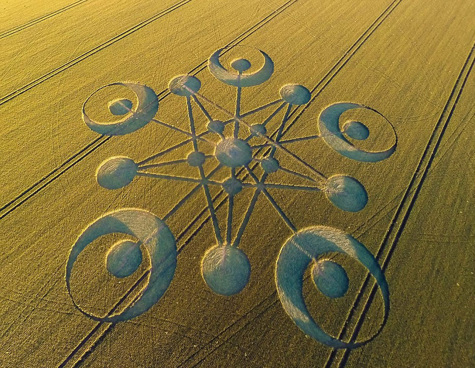 英国多塞特郡布兰德福特福鲁姆附近农田中惊现今年以来首个麦田怪圈,有关其代表含义以及创作者引发诸多猜测。(网页截图)