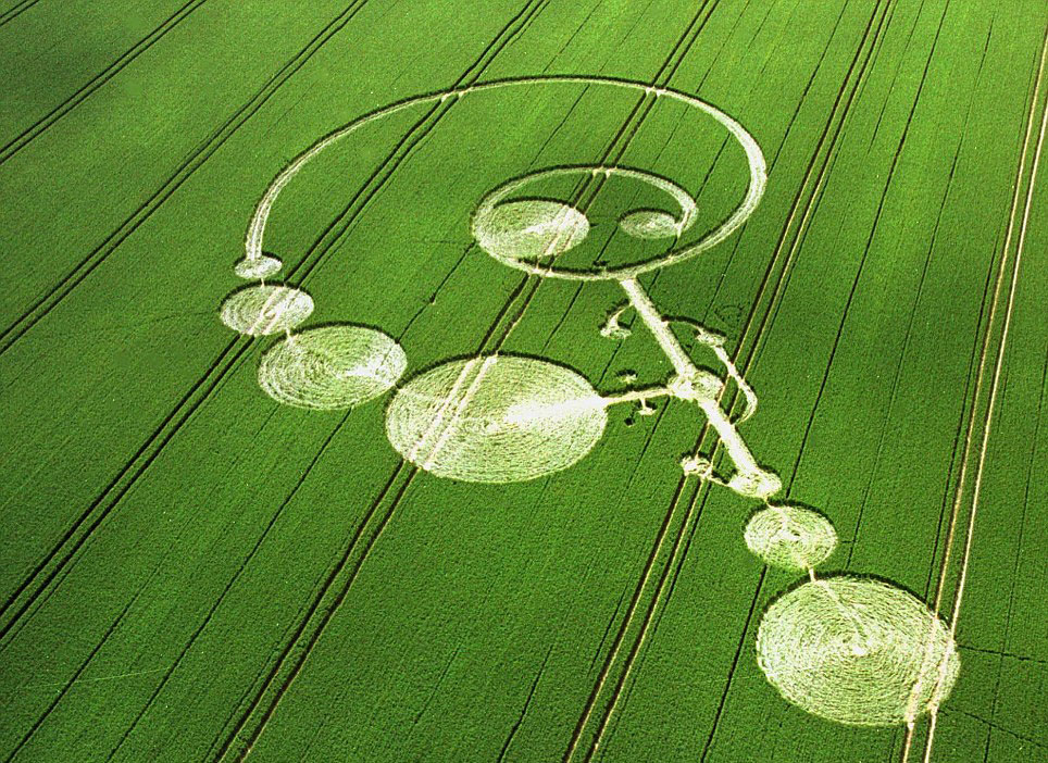 2004年6月出现在英国威尔特郡的麦田怪圈。(网页截图)