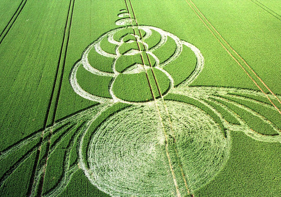 2004年6月出现在英国威尔特郡的麦田怪圈。(网页截图)