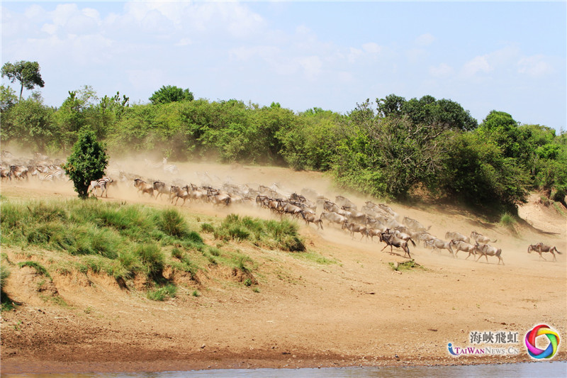 奔腾 (王新俊 摄)