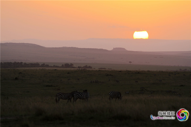 夕阳 (王新俊 摄)