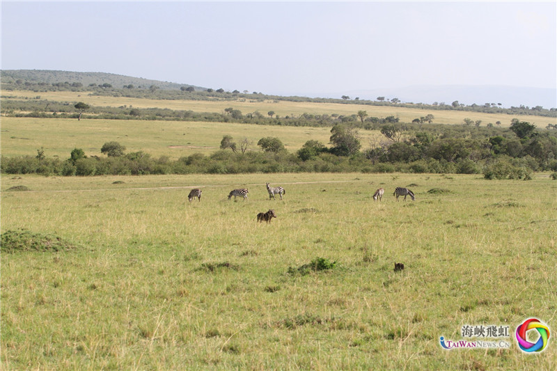 家园 (王新俊 摄)