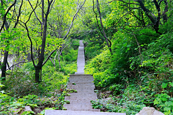 西安市藍田縣全域旅遊再添好去處