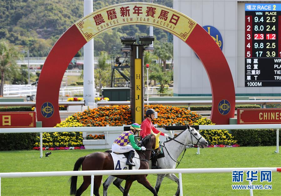 香港赛马会专用图片图片