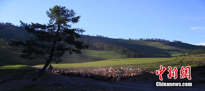 圖為新疆托勒海特草原風(fēng)景如畫(huà)。