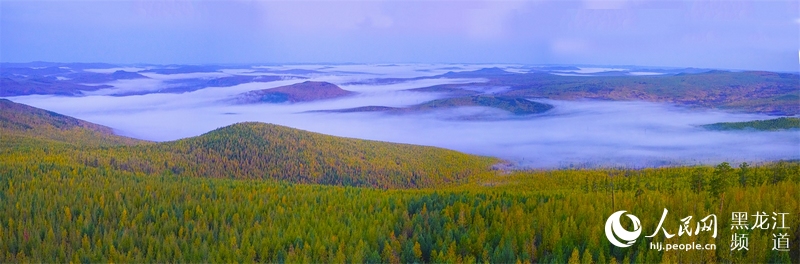 【组图】龙江秋意浓 醉美“五花山”