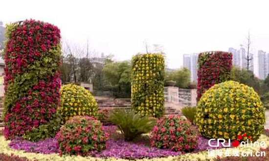 貴州安順西秀：50萬盆鮮花裝扮扮靚城區