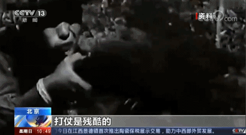 走进抗美援朝英雄部队丨击溃美军“骑兵第一师”毙敌3752人 明知山有虎偏向虎山行的“猛虎旅”