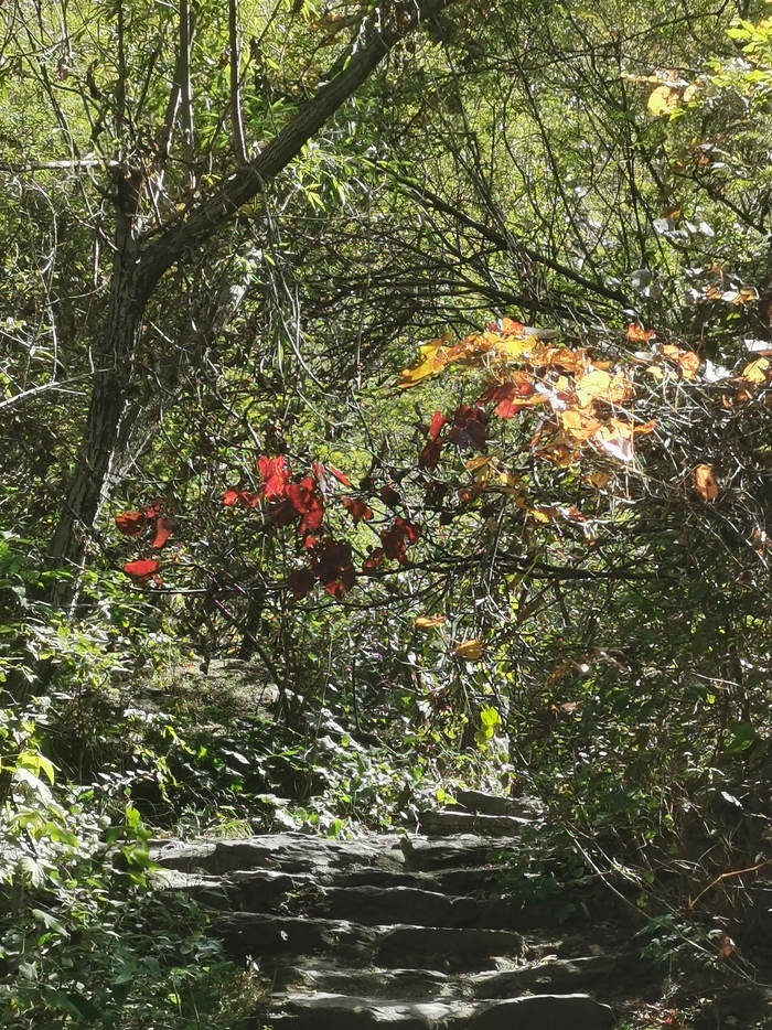 쌍용협, 폭포의 아름다움에 빠지다_fororder_IMG_20201006_114223