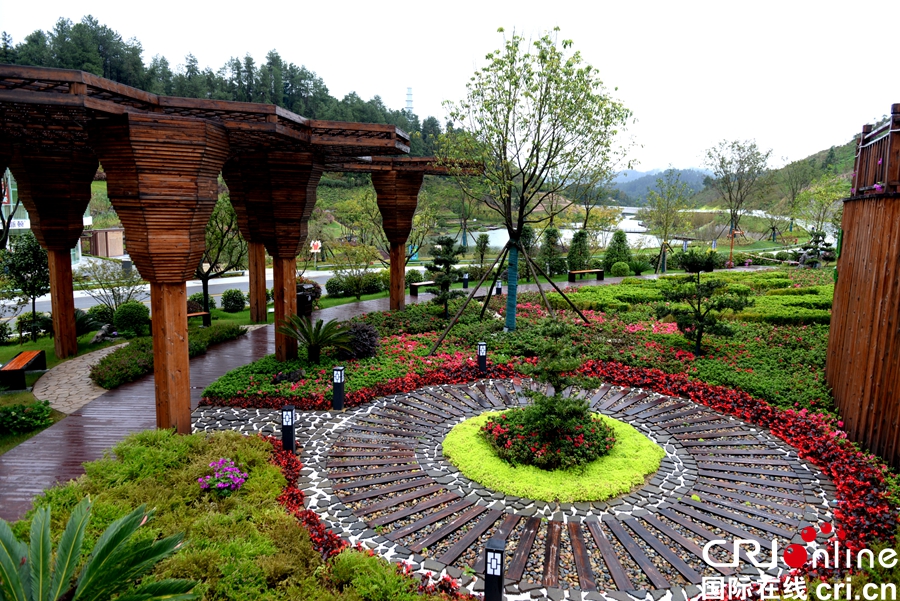 （有修改）第四届绿化博览会博览园开园 游客相约来“打卡”（组图）
