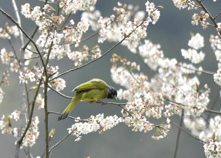 图片默认标题_fororder_微信截图_20190316172240