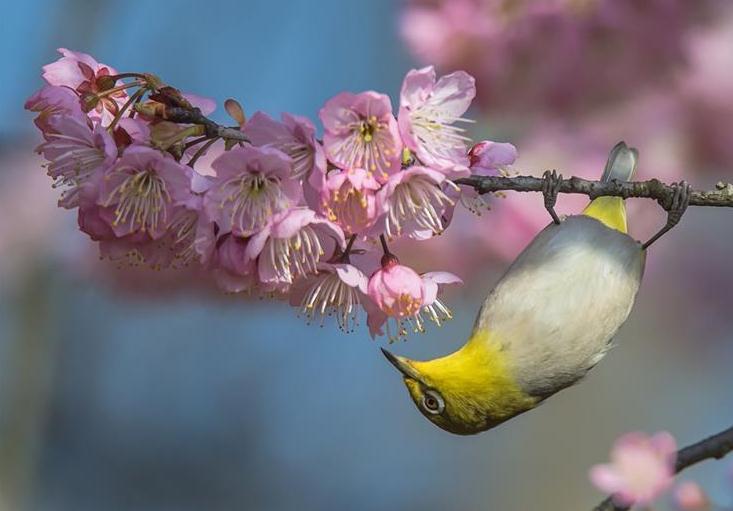 图片默认标题_fororder_微信截图_20190316172332