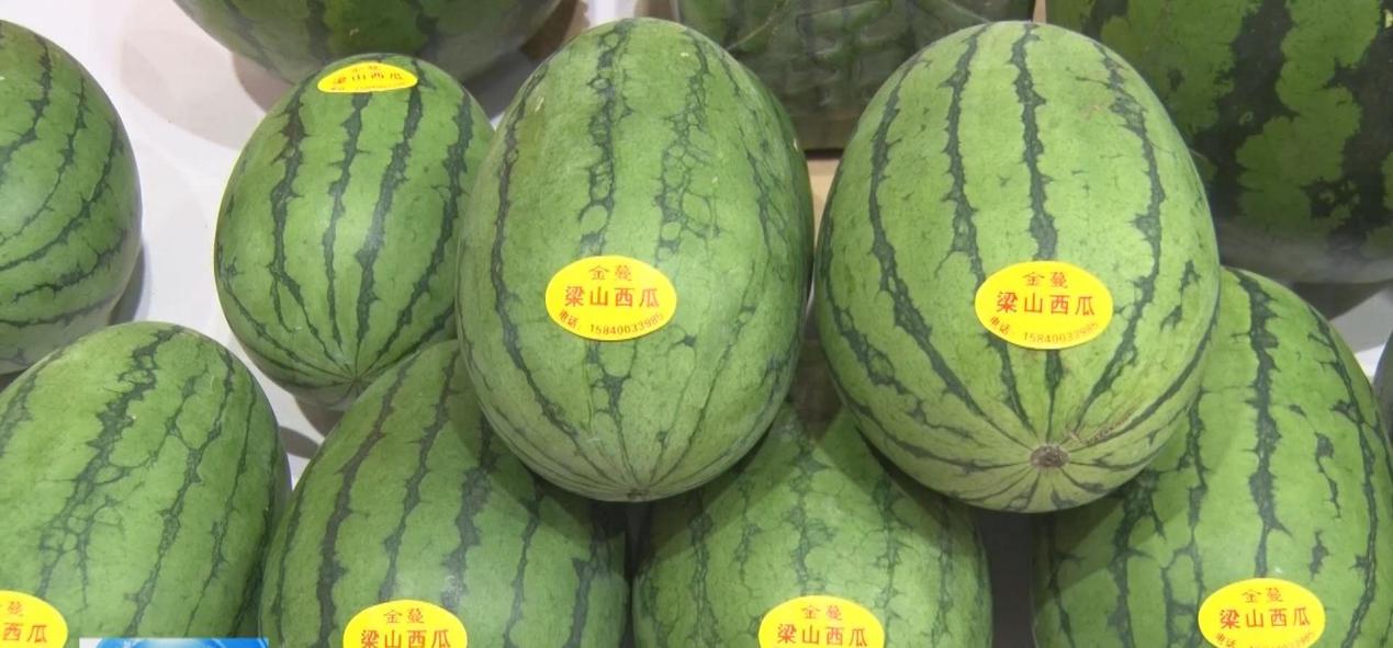 辽宁新民小梁山西瓜优势区入围“中国特色农产品优势区”_fororder_xigua