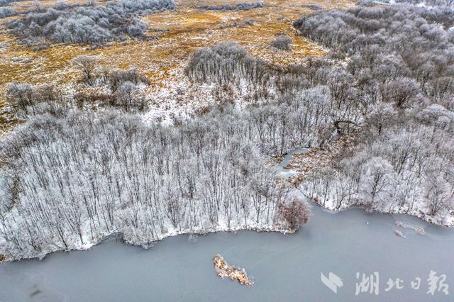 大九湖出现纯美雾凇景观