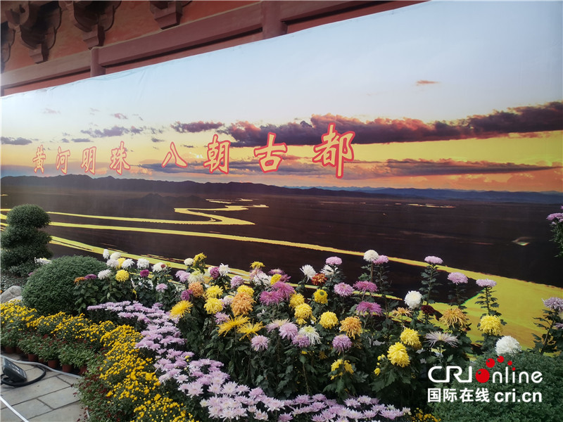 【A】中國開封第九屆國際菊花展在清明上河園開幕