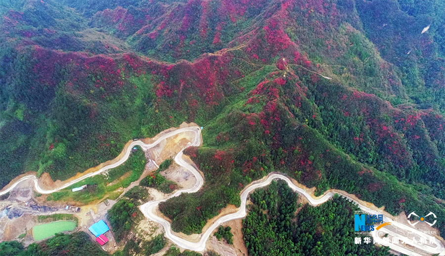 【城市远洋】航拍重庆酉阳：漫山红叶染红层层峰峦