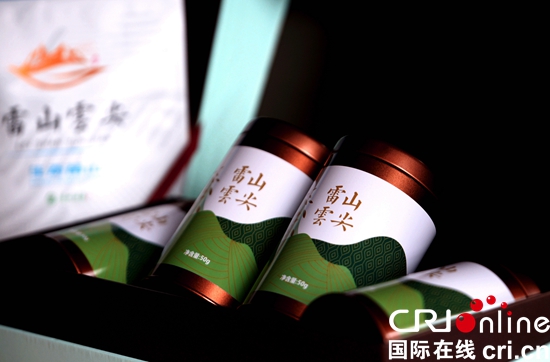 “以茶兴县”  贵州雷山茶产业助力脱贫攻坚