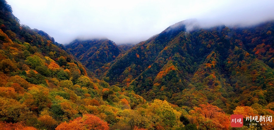 （转载）绝美！巴中光雾山红叶红了