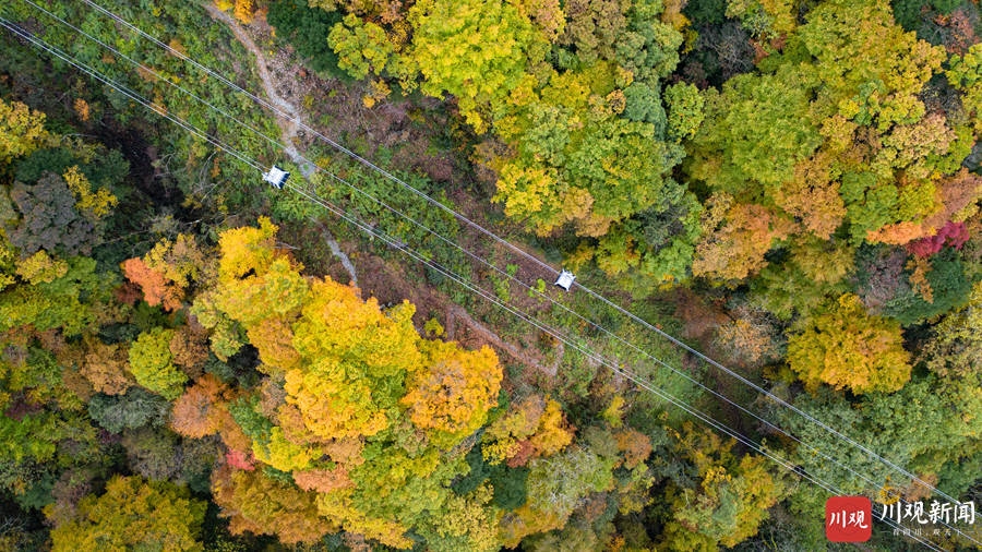 （转载）绝美！巴中光雾山红叶红了