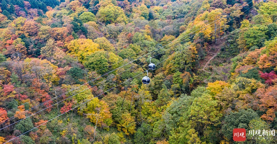 （转载）绝美！巴中光雾山红叶红了