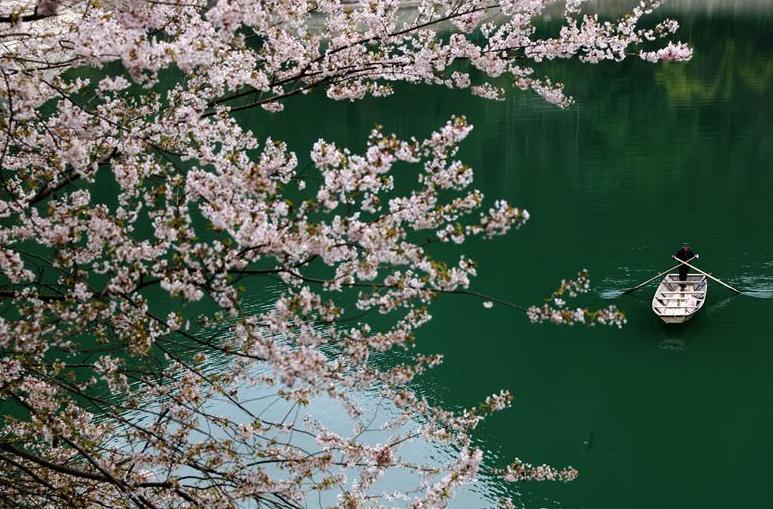 图片默认标题_fororder_微信截图_20190317114200