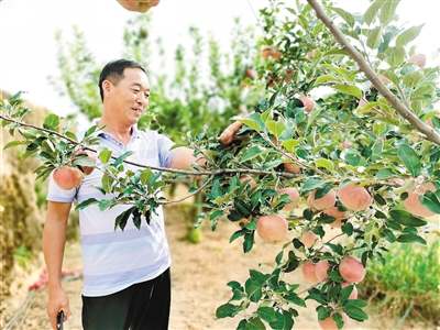 60余载 陕北高西沟“不向黄河输入一粒沙”