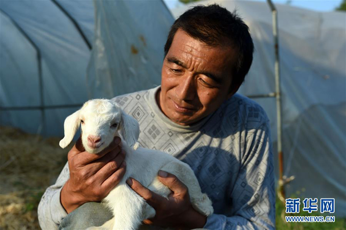 गरिबबाट लोकप्रिय पशुपालकसम्म