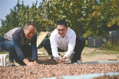 法庫：七旬夫婦建果園，收穫幸福“人生果實”_fororder_果園