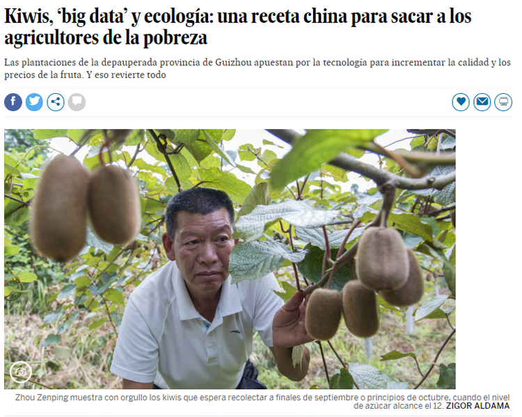西班牙記者探訪中國果園：“科技+生態”是中國農民脫貧致富良方_fororder_{F3D4B202-4993-4129-8D03-20B9EF64ED3D}