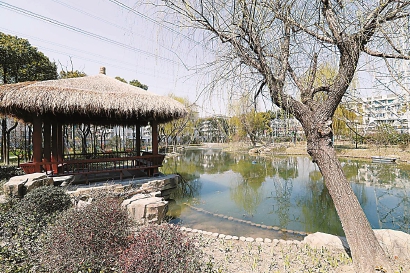 上海中心城區最大的居民區內公園開放