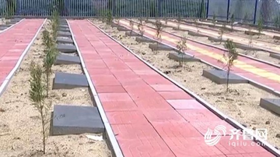 图片默认标题_fororder_a95e2f3c710e751112076edf4aae3c50_iqilu_副本