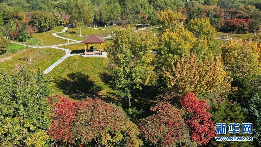 河北唐山:秋染南湖風光好