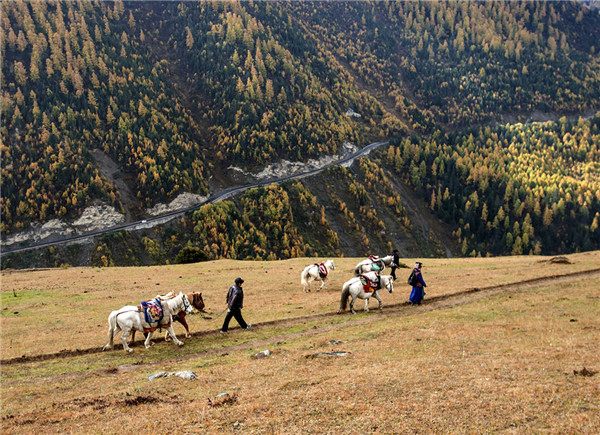 金秋十月 四姑娘山秋意渐浓_fororder_3、四姑娘山景区秋色如画-供图-四姑娘山景区