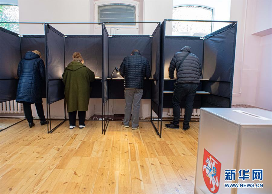 立陶宛举行新一届议会选举首轮投票