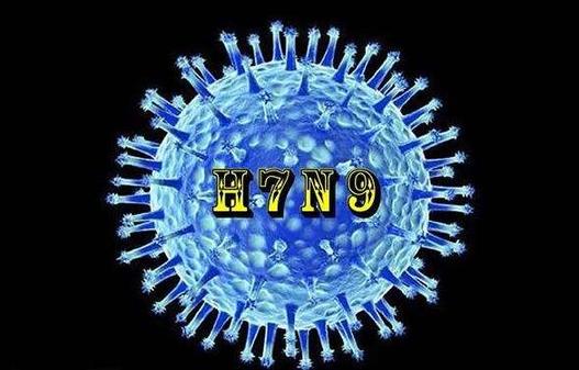【要闻列表】今秋起河北省全面开展家禽H7N9免疫