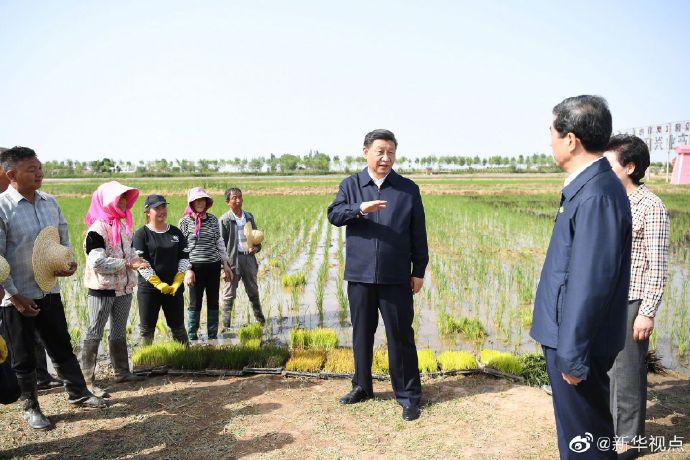 “十三五”，总书记关心的这些事：这五年，粮食安全更稳固