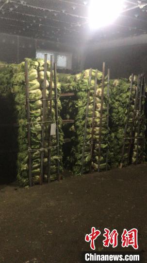 哈尔滨市级储备蔬菜300吨投放市场 低于市场均价20%以上
