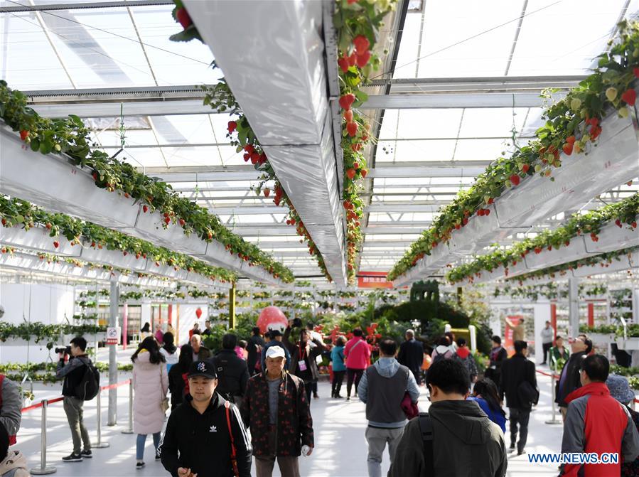 7th Beijing Agriculture Carnival kicks off