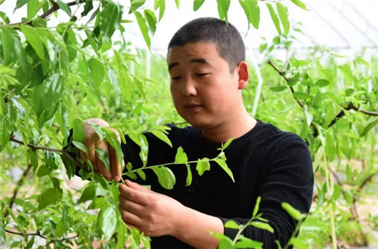 “80”後小夥信歡：農産品合作社托起創業致富夢