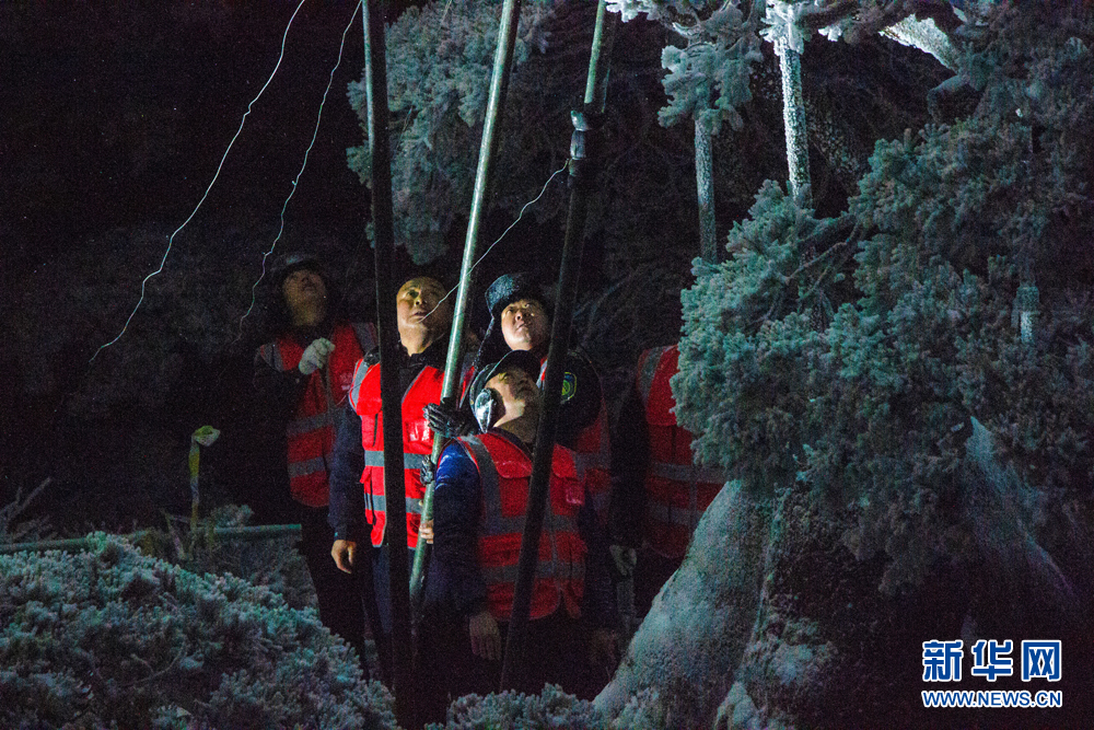 黄山：雪夜守护忙 迎客松无恙