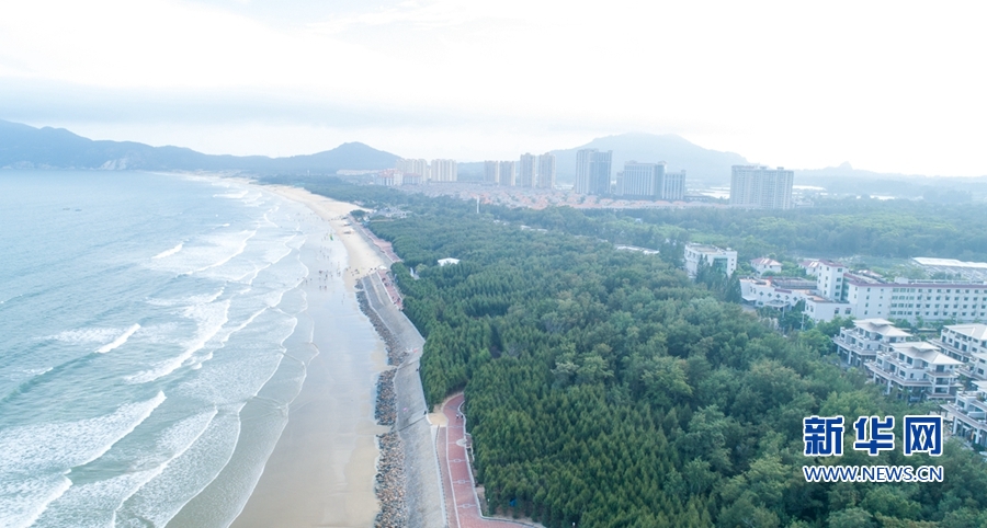“蝶島”蝶變:昔日“風沙之島” 今日“東海綠洲”