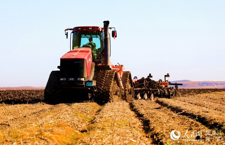 北大荒集团秋季农业生产由田间收获转入秋整地阶段