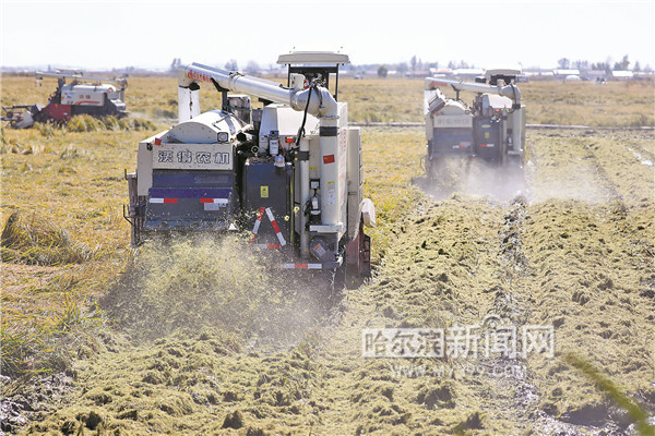 “十三五”期間，龍江“這碗飯”冰城有大貢獻