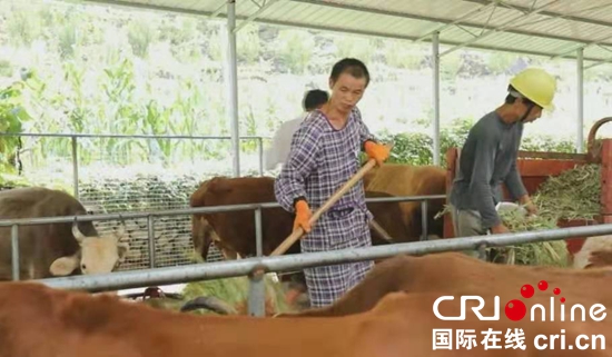 圖片默認標題_fororder_8d9fd6136e94e59fc241d856216b10d