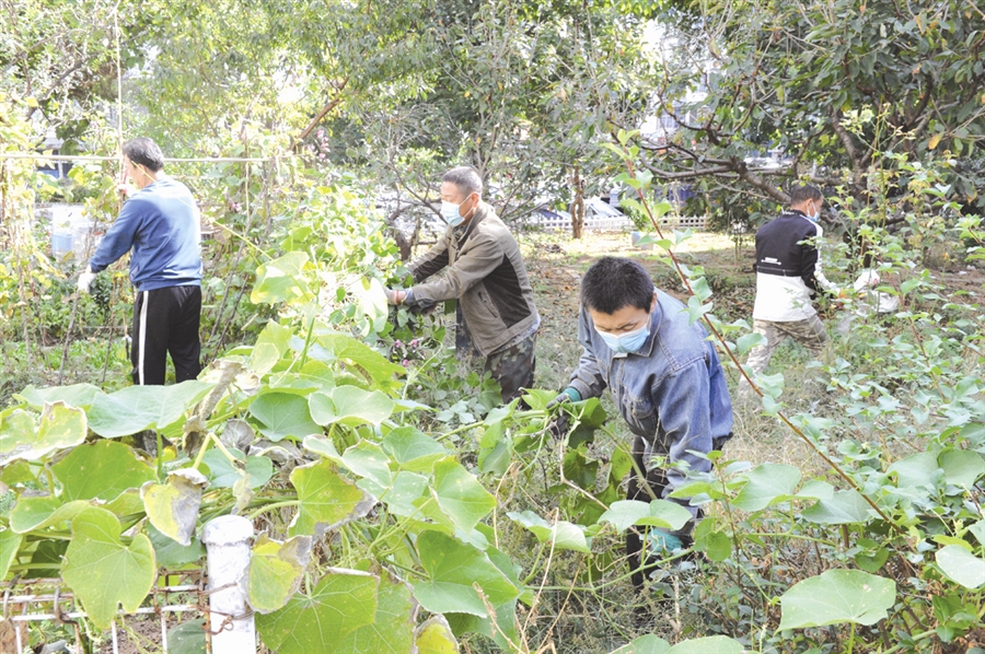 大連西崗區全力落實推進文明城市創建工作常態化建設20條舉措