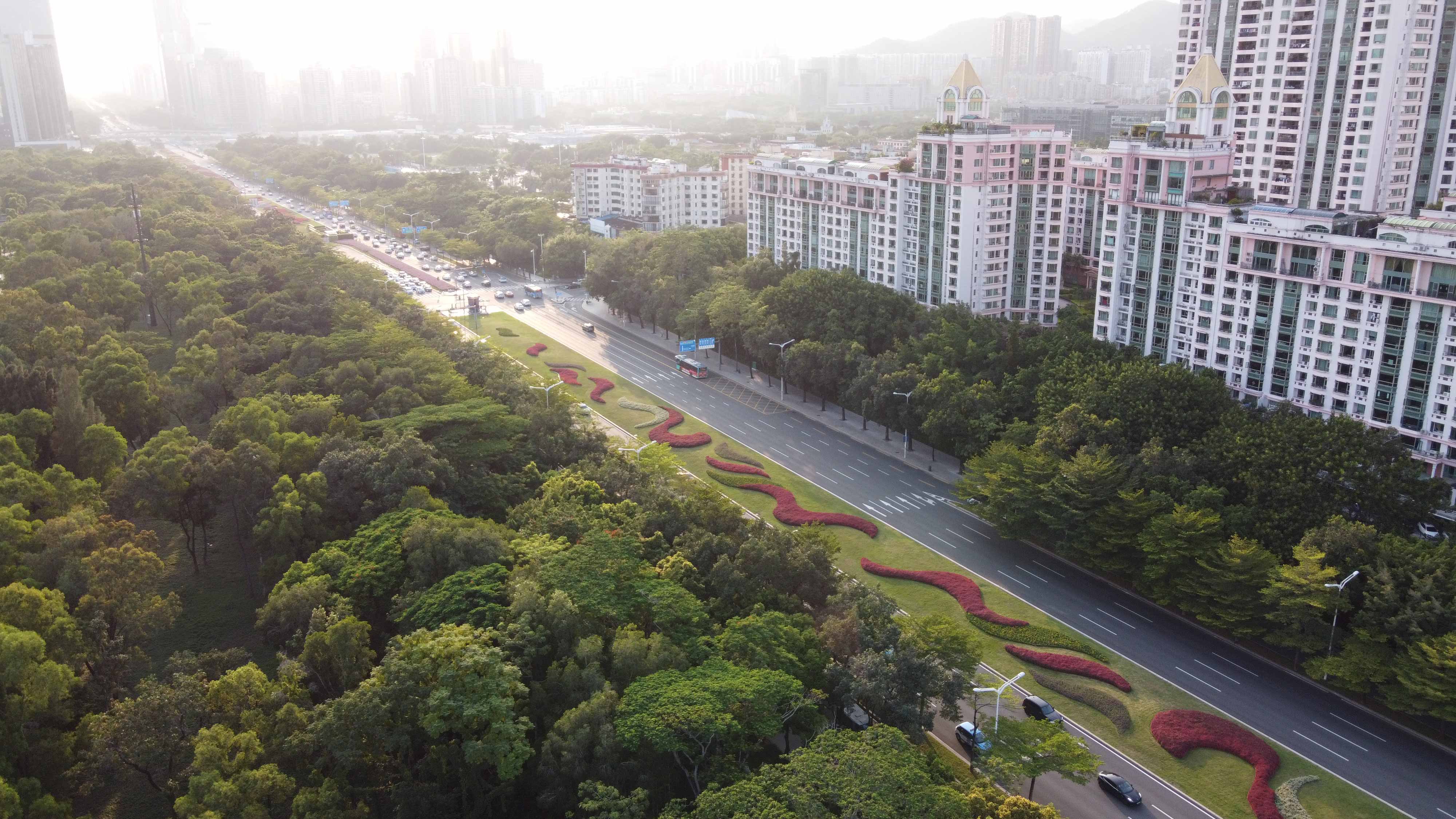 【经济特区40年@治理现代化】改革开放不停步！成为基因植根血脉和记忆中