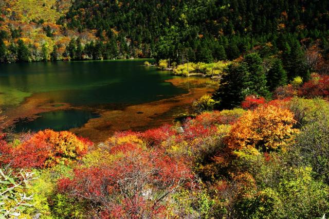 "画卷·唯美·诗意" 迷醉在甘孜色彩斑斓的金秋