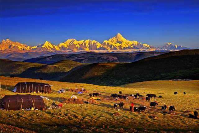 "画卷·唯美·诗意" 迷醉在甘孜色彩斑斓的金秋