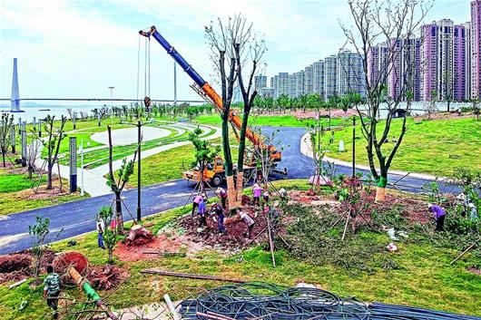 湖北武汉：江滩蝶变