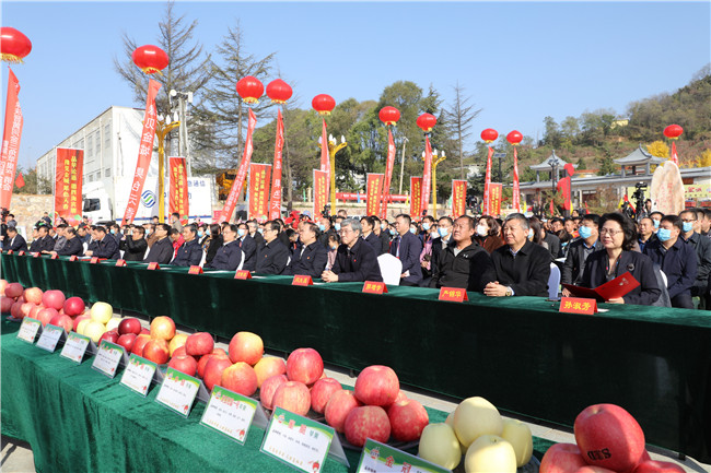 河南省灵宝市第十四届金城果会开幕_fororder_开幕式现场 摄影 张芸曦.JPG